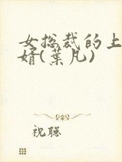 女总裁的上门女婿(叶凡)封面