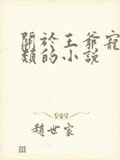 关于王爷宠王妃类的小说