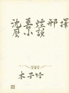 沈嘉烟邢择是什么小说封面