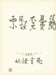 西风不见旧时景小说免费阅读