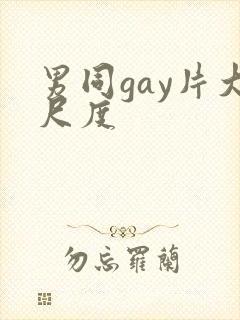 男同gay片大尺度封面