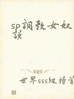 sp调教女奴小说