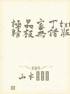 极品家丁txt精校无错版