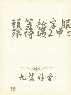 头等舱客服的特殊待遇2中字
