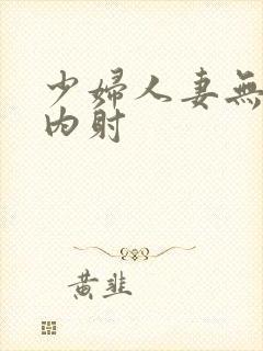 少妇人妻无套,内射