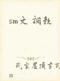 sm文 调教