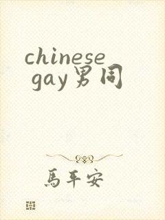chinese gay男同封面