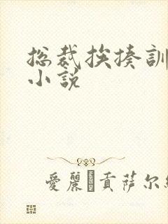 总裁挨揍训诫文小说封面