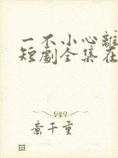 一不小心离错婚短剧全集在线观看