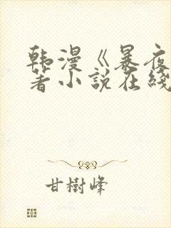 韩漫《暴夜》原著小说在线看