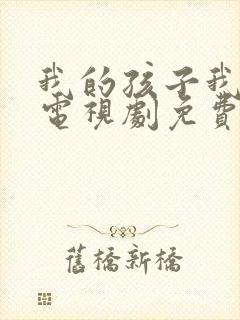我的孩子我的家电视剧免费观看全集