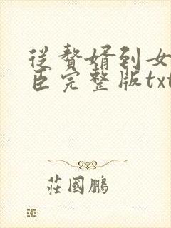 从赘婿到女帝宠臣完整版txt封面