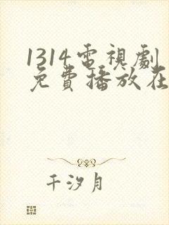 1314电视剧免费播放在线观看