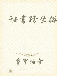 秘书跨坐总裁h