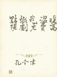 点燃我温暖你电视剧免费高清完整版