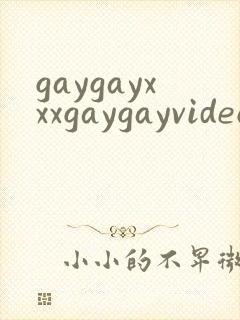gaygayxxxgaygayvideo