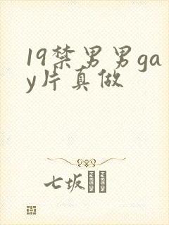 19禁男男gay片真做
