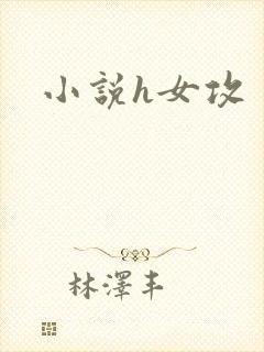 小说h女攻