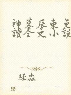 神墓辰东免费阅读全文小说封面