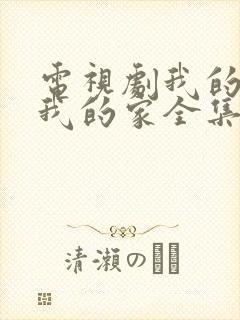 电视剧我的孩子我的家全集播放