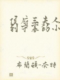 侯府三夫人重生到守寡的小说