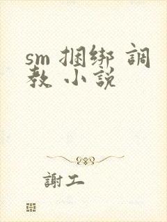 sm 捆绑 调教 小说