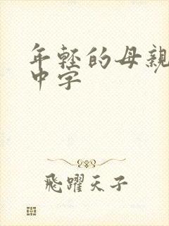 年轻的母亲韩剧中字