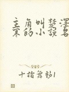 主角叫楚泽顾清寒的小说名字