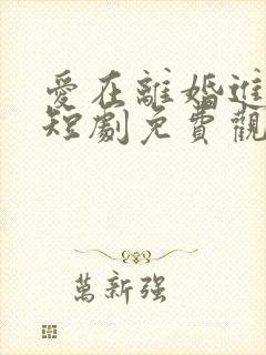 爱在离婚进行时短剧免费观看全集