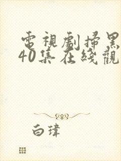 电视剧扫黑风暴40集在线观看免费