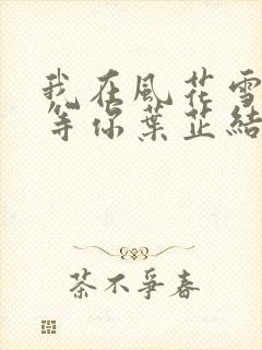 我在风花雪月里等你叶芷结局