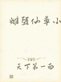 雌堕仙尊小说