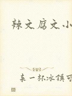 辣文腐文小说封面