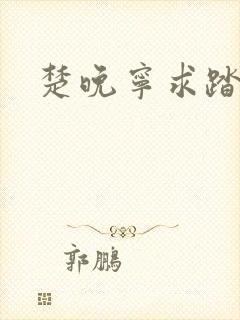 楚晚宁求踏仙君