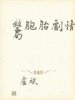 双胞胎剧情大结局