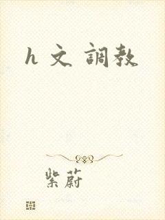 h 文 调教