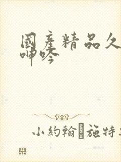 国产精品久久久呻吟