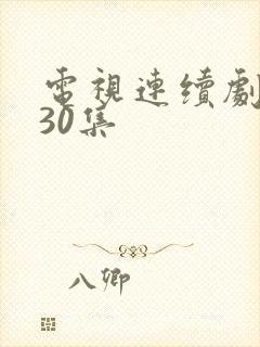 电视连续剧人生30集