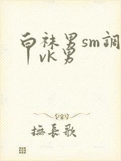 白袜男sm调教丨vk男