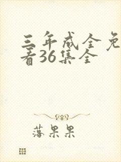 三年成全免费观看36集全