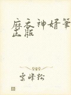 麻衣神婿笔趣阁正版