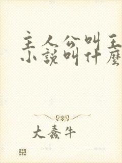 主人公叫王峰的小说叫什么名字