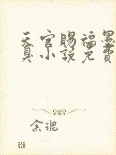 天官赐福墨香铜臭小说免费