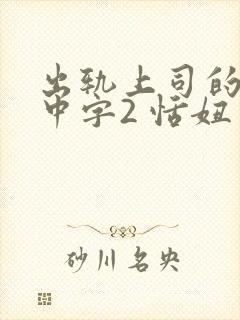 出轨上司的人妻中字2 恬妞