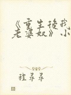 《重生后我成了老婆奴》小说