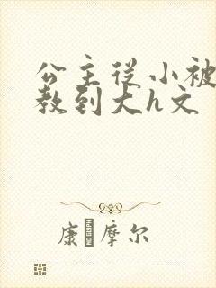 公主从小被肉调教到大h文封面