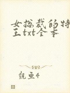 女总裁的特战兵王txt全本