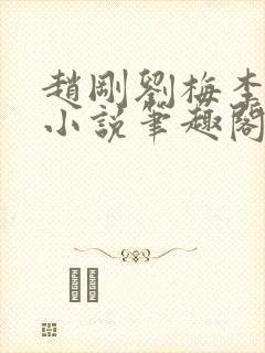 赵刚刘梅李晓雅小说笔趣阁封面