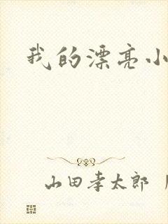 我的漂亮小后妈