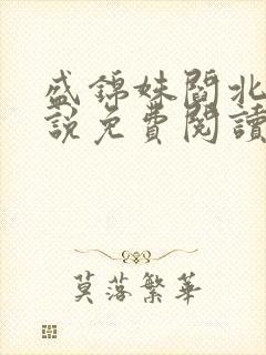 盛锦姝阎北铮小说免费阅读无广告
